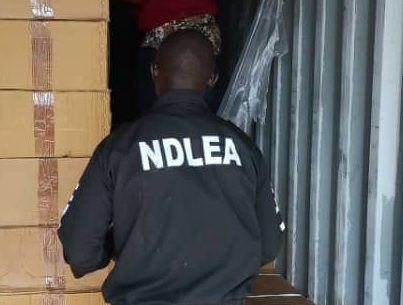 An image of NDLEA official at work. It is the kind of seizure in this image that leads to the particular case that involves a Nigerian senator, as Senate summons NDLEA.